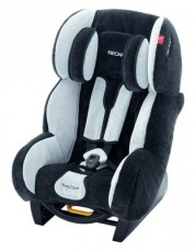 Придбати Детские Товары Recaro Young Expert plus black/silver (6135.21086.66)