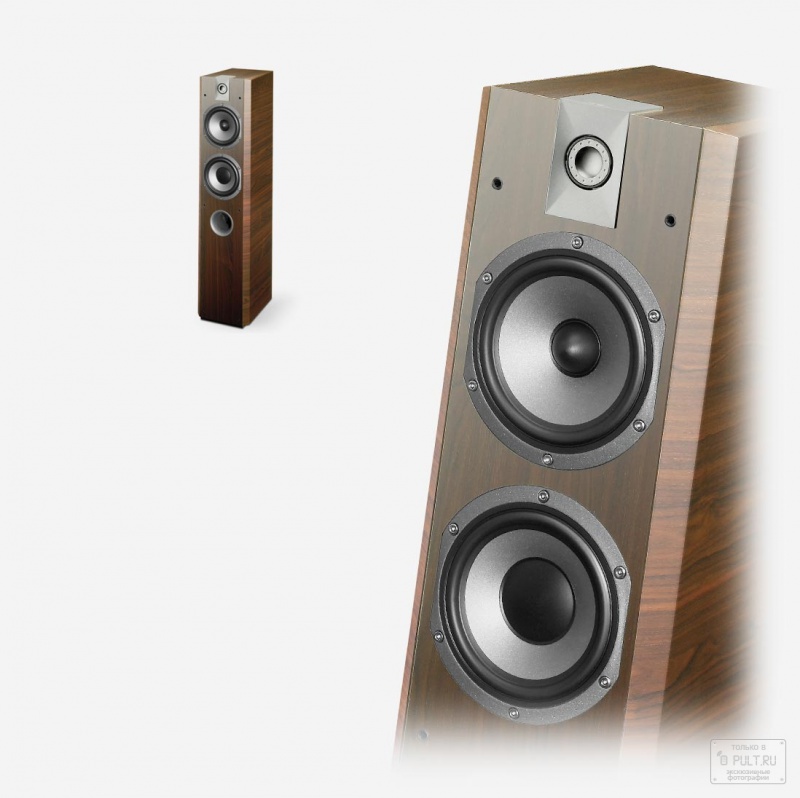 Фото Focal-JMLab Chorus 716 V Havana