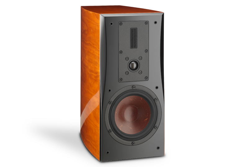 Фото DALI Helikon 300 MK II Cherry High Gloss