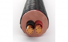Придбати Акустические кабели DALI CONNECT SC RM230С 3.00mm , бухта 50м