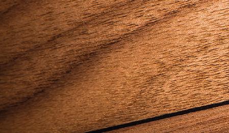 Фото SONUS FABER CHAMELEON T Optional side panels set (4 panels) Limited Edition (Homage Finish)