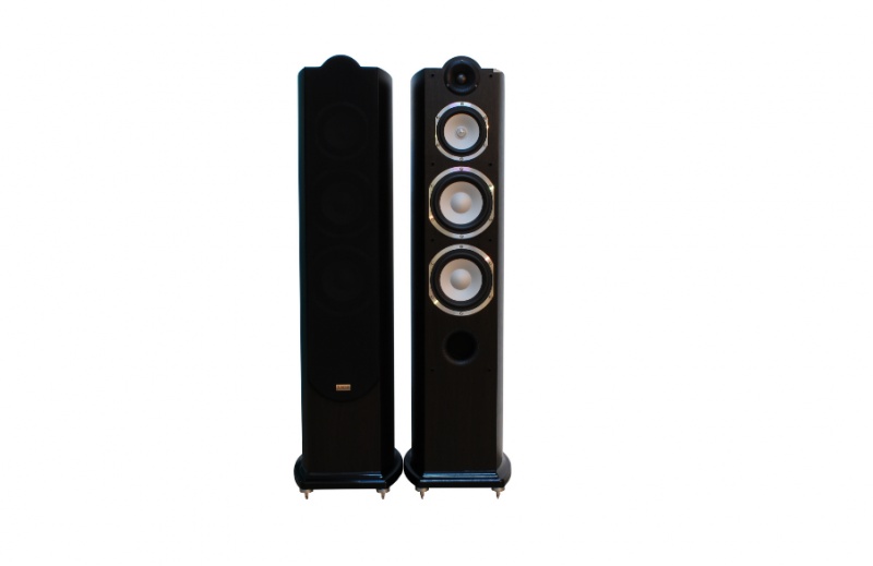 Фото Taga Harmony Platinum F-100 WENGE