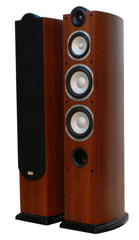 Фото Taga Harmony Platinum F-100 WALNUT