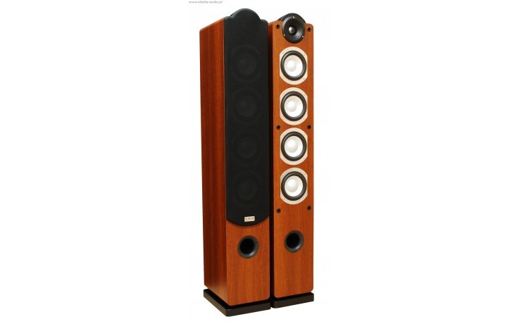 Фото Taga Harmony Platinum F-60 SLIM WALNUT