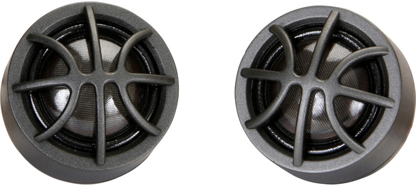 Фото DLS RC 25