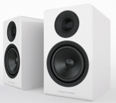Придбати Акустические системы Acoustic Energy AE 300 Piano Gloss White