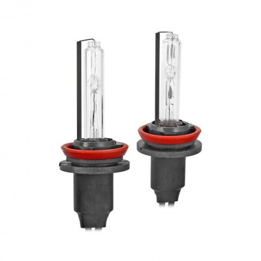 Фото Infolight H11 8000K