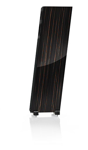 Фото Audio Physic AVANTI Black Ebony