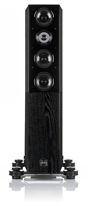 Фото Audio Physic CARDEAS 30 Black Ash